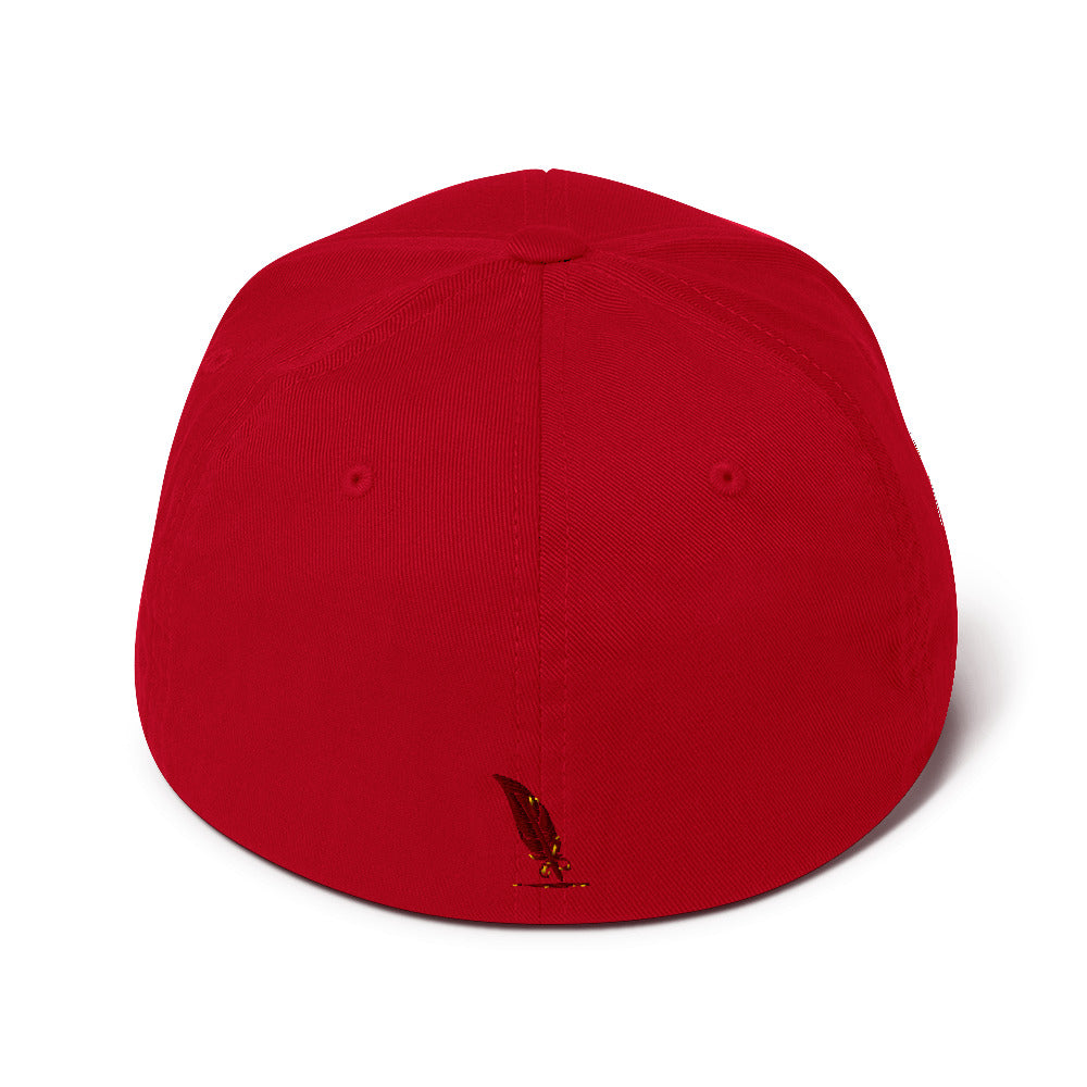 BF Flex fit Hat